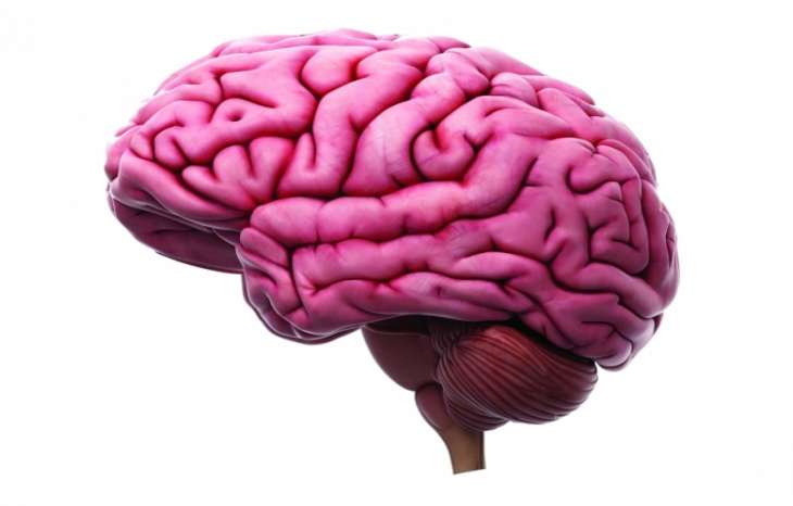 جراحی ضایعات عروقی - آنوریسم مغزی