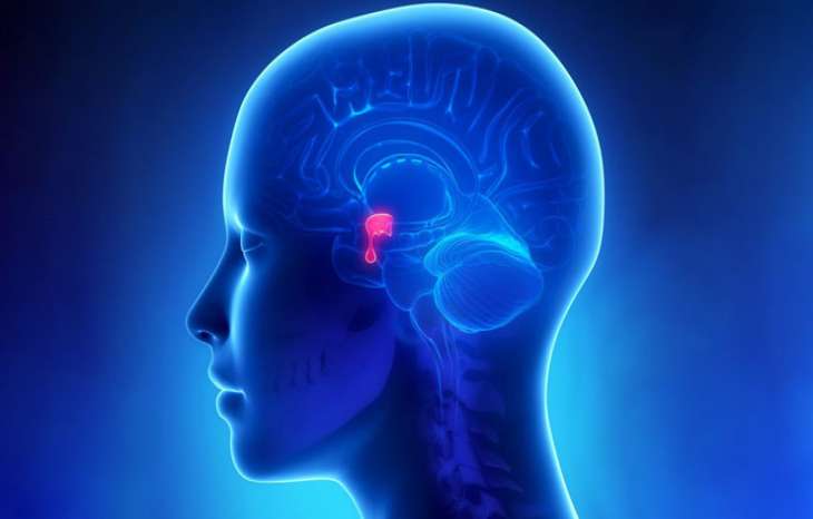 تومور هیپوفیز و راههای درمان آن
