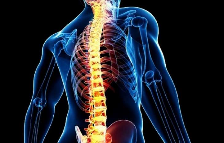 انواع ضایعه نخاعی و راههای درمان آن